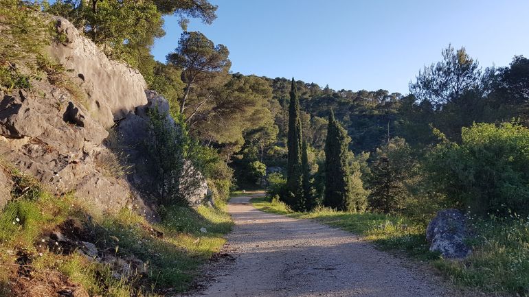 Požarni put na Marjanu