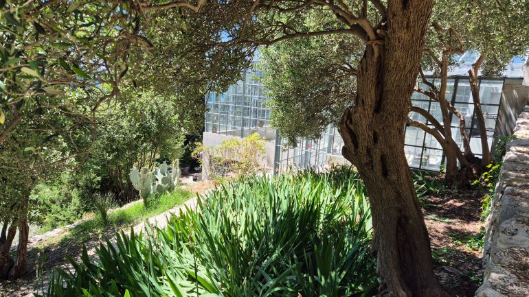 Botanički vrt na Marjanu