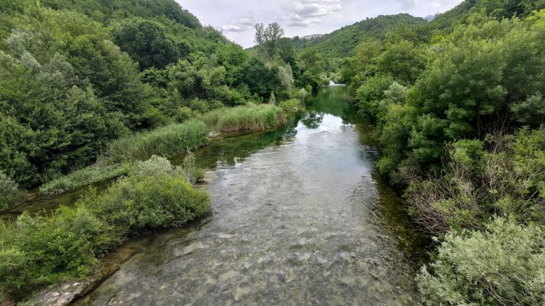 Pavića most