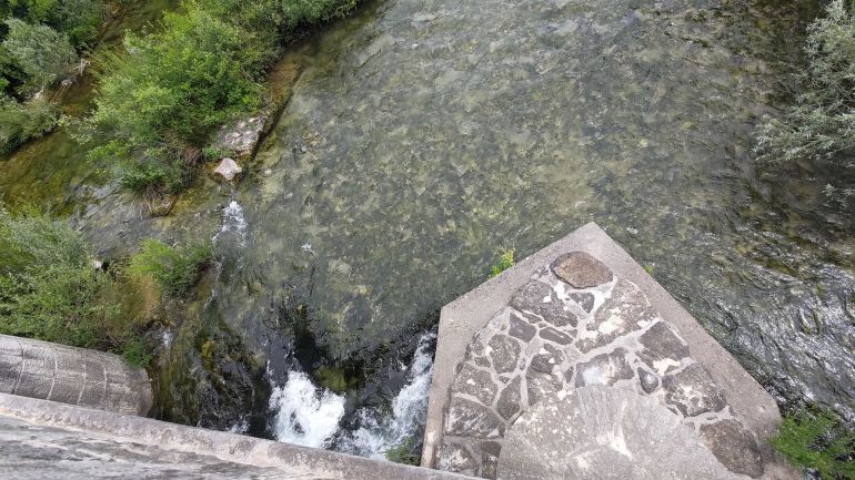 Pavića most