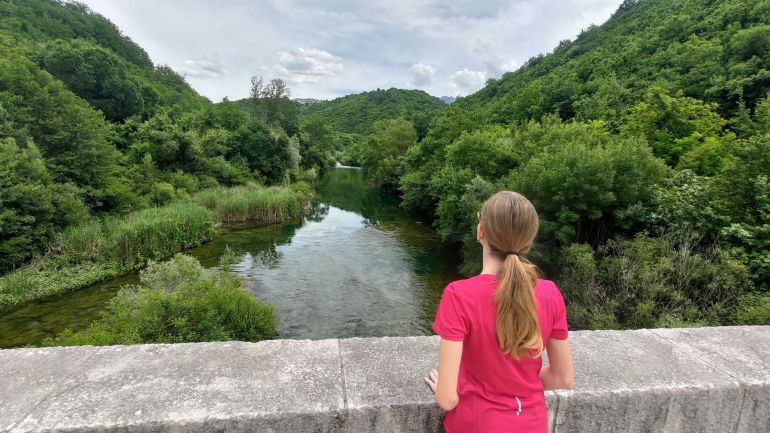 Pavića most