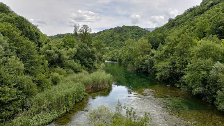 Pavića most
