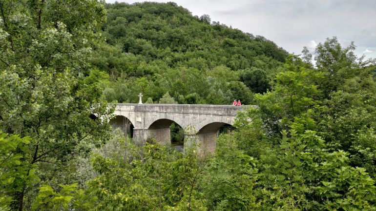Pavića most