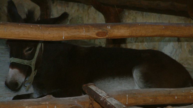 Krka, Skradinski buk