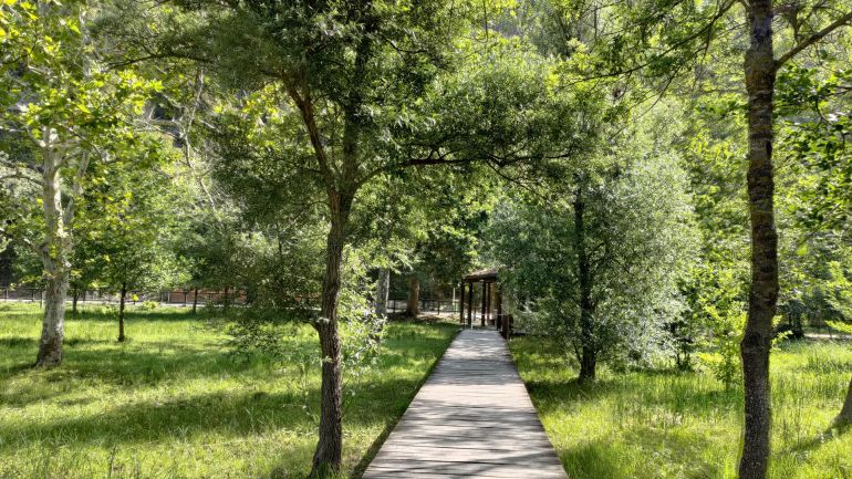 Krka, Skradinski buk