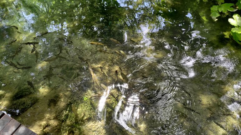 Krka, Skradinski buk