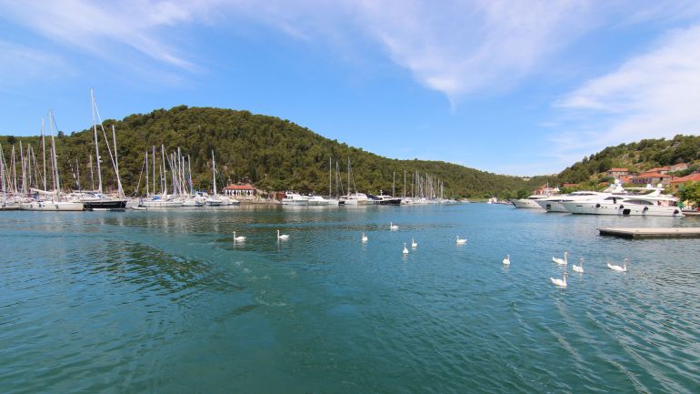 Skradinski buk