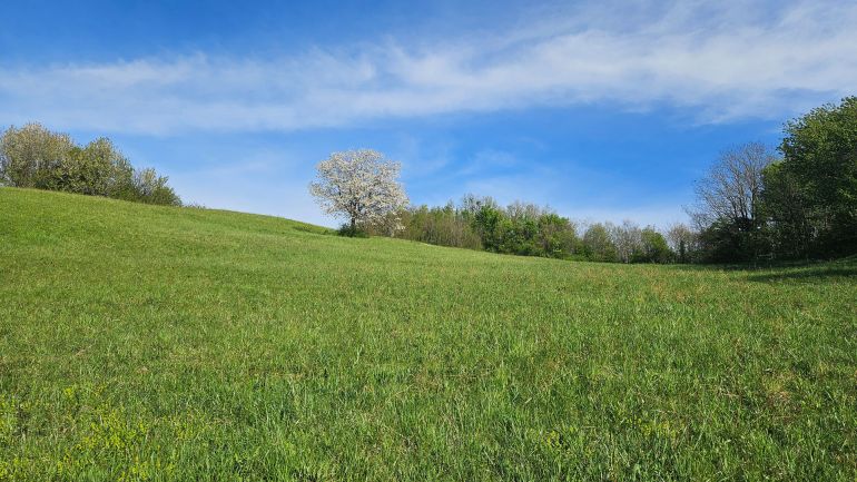 Utvrda Čanjevo