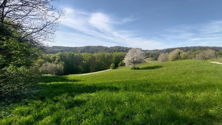Utvrda Čanjevo