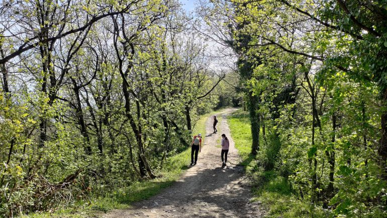 Utvrda Čanjevo