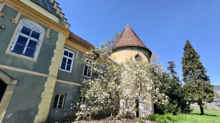 Dvorac Erdödy-Rubido