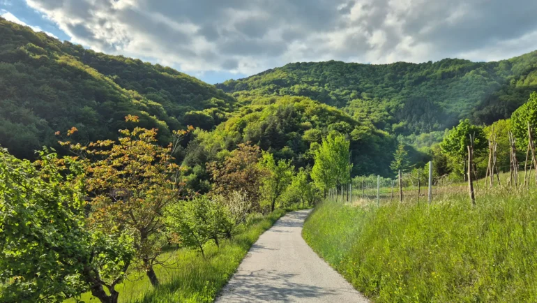 Stari grad Žumberak