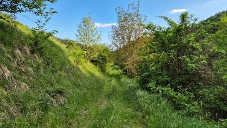 Stari grad Žumberak