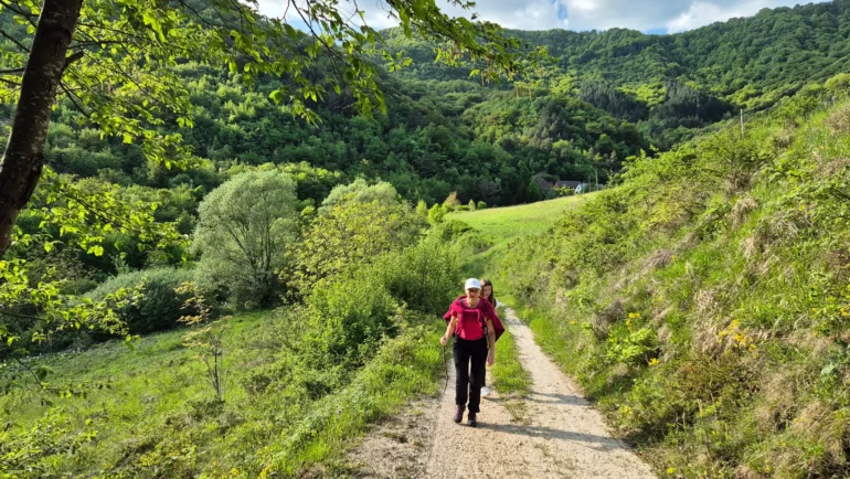 Stari grad Žumberak