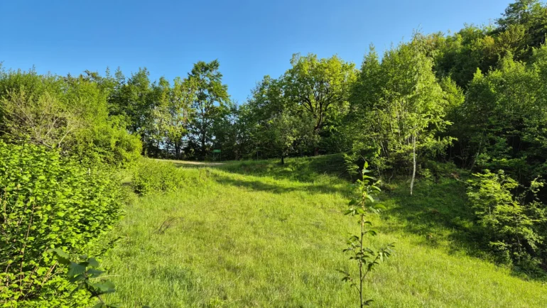 Stari grad Žumberak