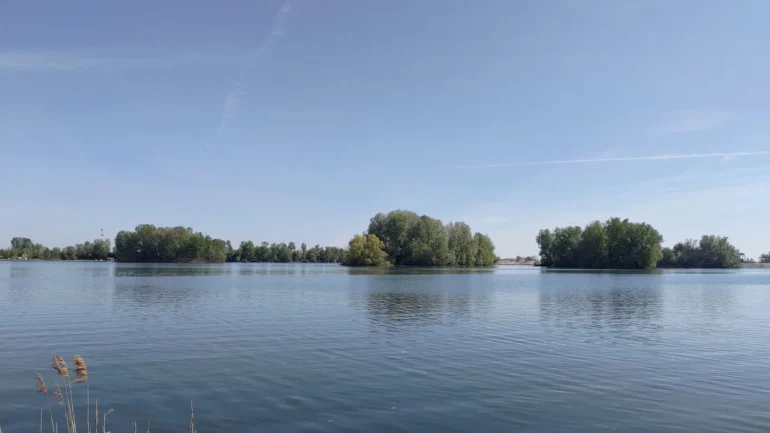 Šoderica