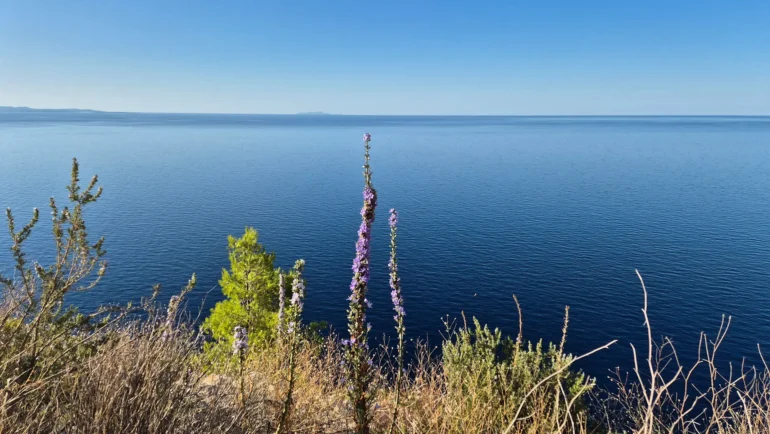 Lučišće - Uvala i plaža Lučišća