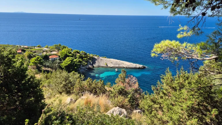 Zaraće