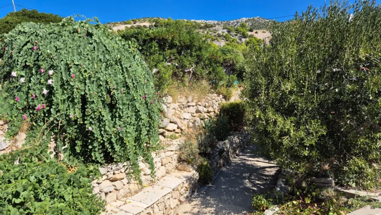 Zaraće